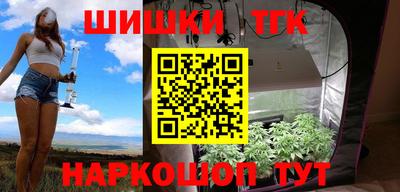 гашик Дубна