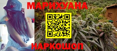 гашик Дубна