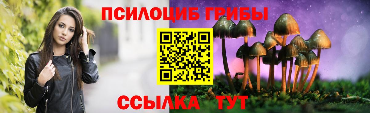 Псилоцибиновые грибы MAGIC MUSHROOMS  Вход с VPN  Мичуринск 